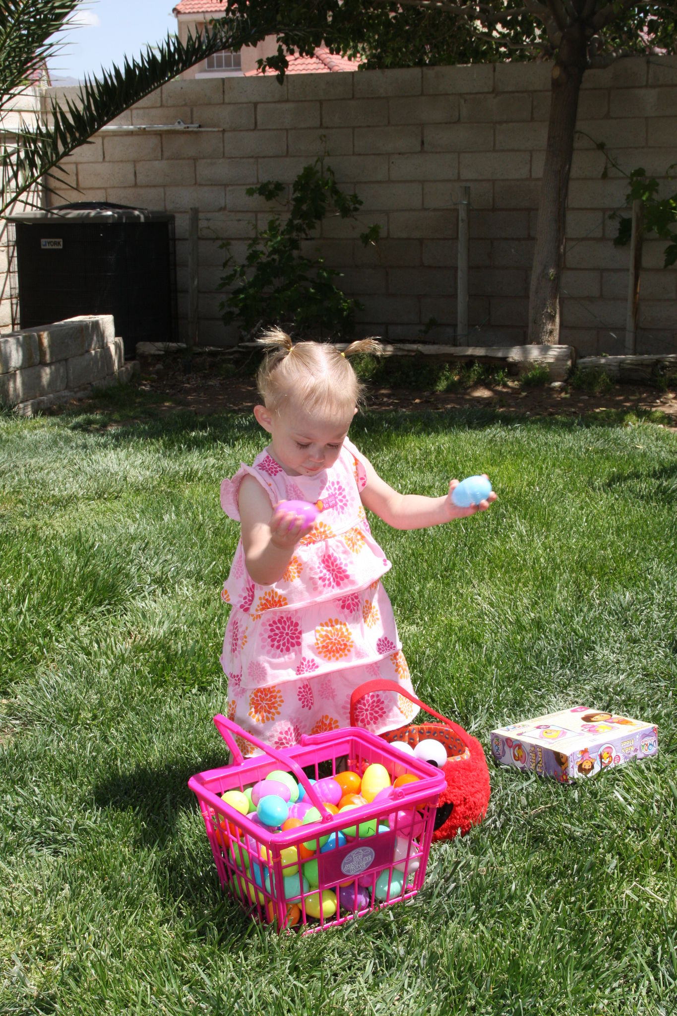 Easter_Egg_Hunt_2011_2810029.JPG