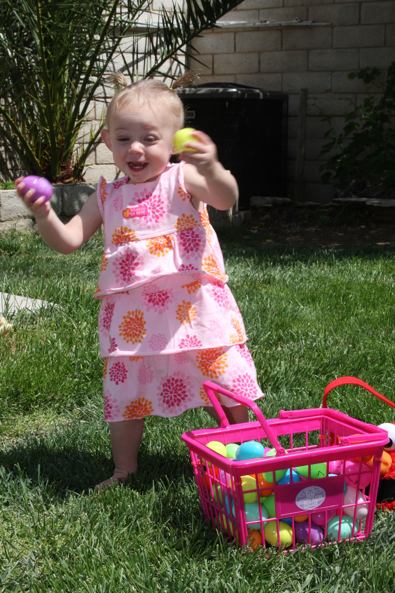 Easter_Egg_Hunt_2011_2810829.JPG