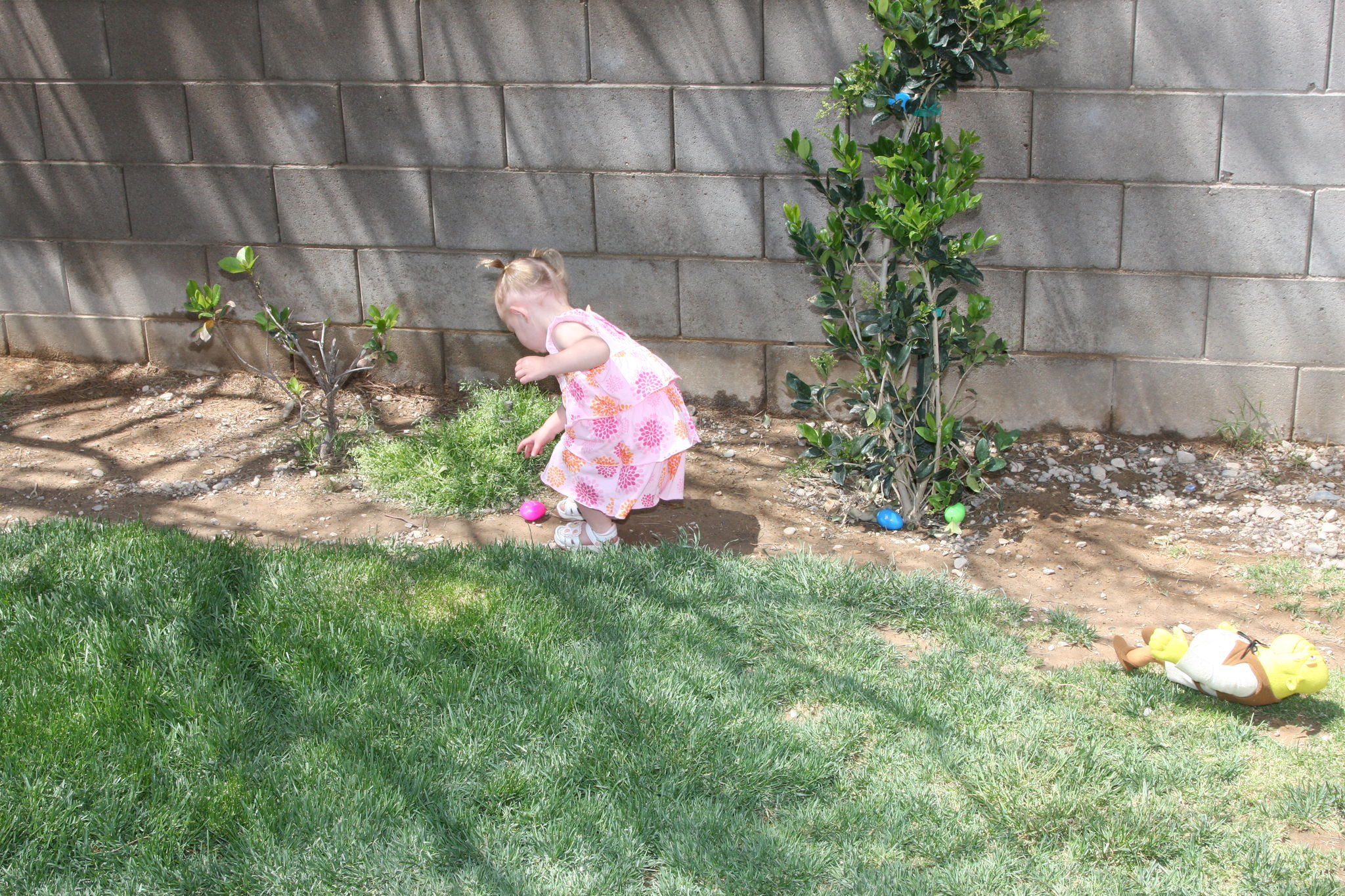 Easter_Egg_Hunt_2011_286329.JPG