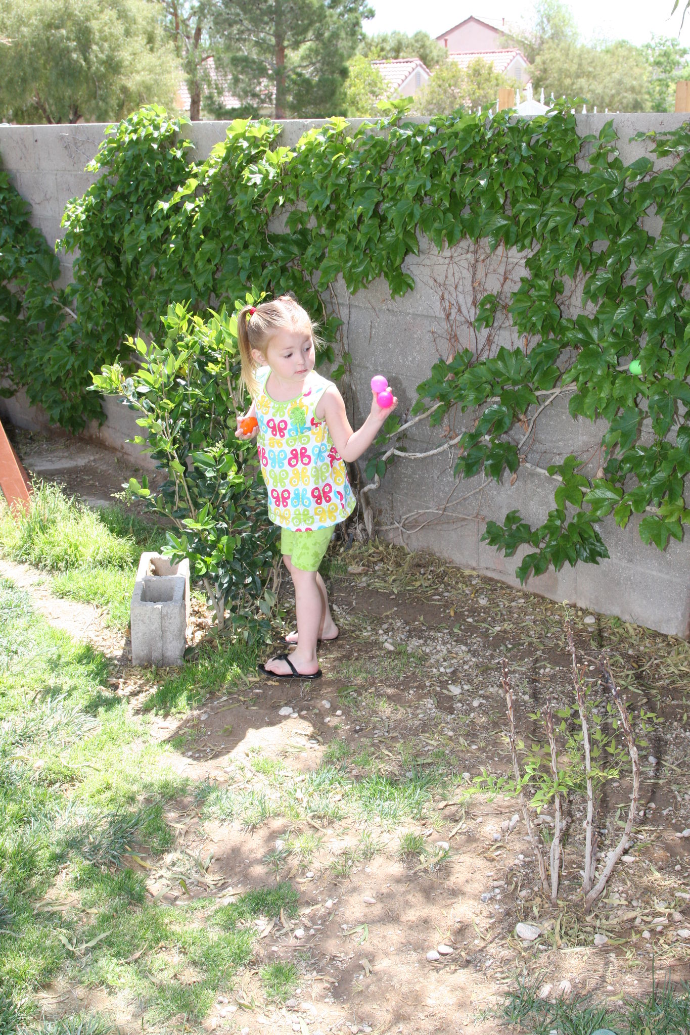 Easter_Egg_Hunt_2011_289429.JPG