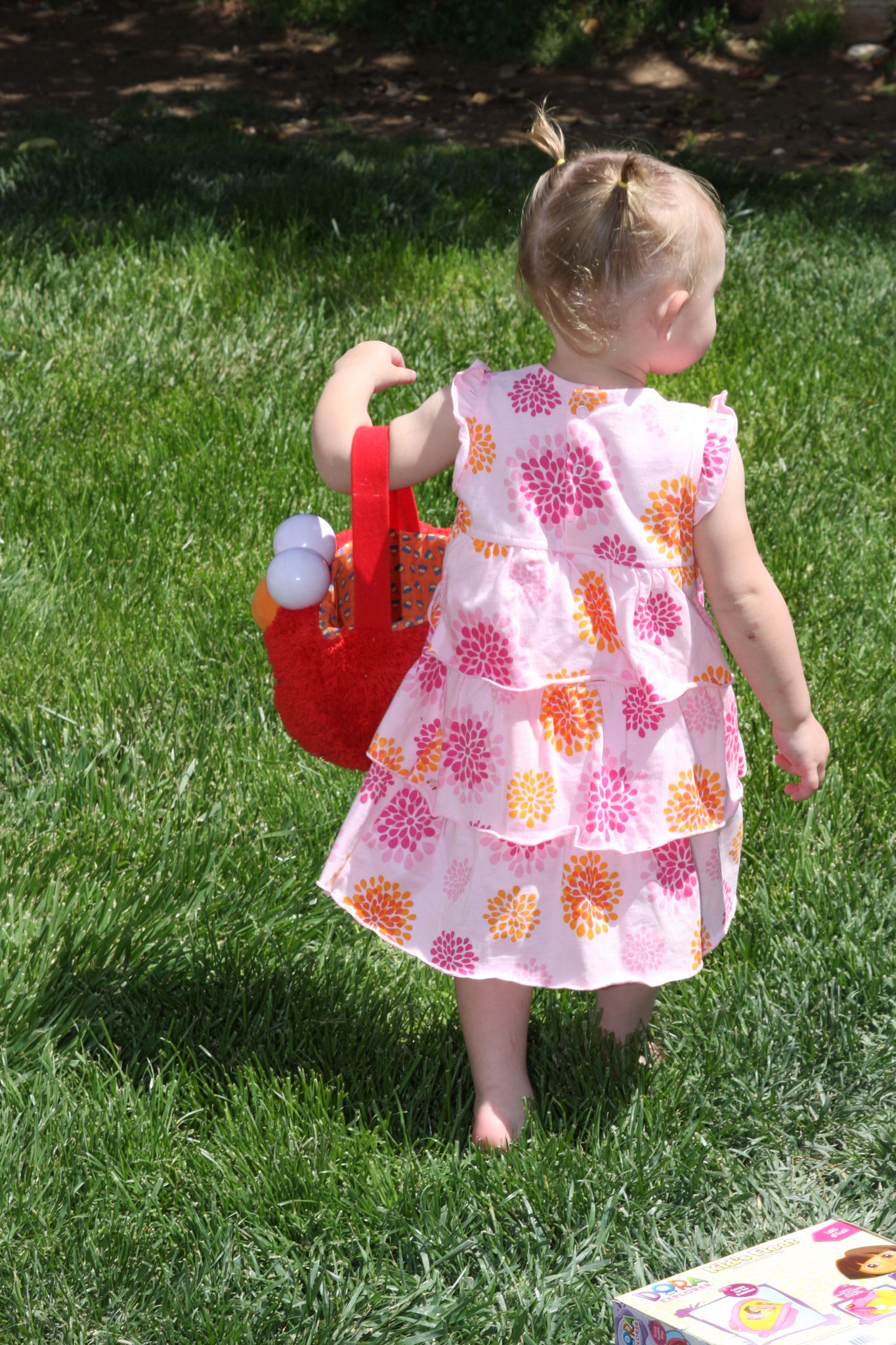 Easter_Egg_Hunt_2011_289929.JPG