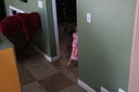 Easter_Egg_Hunt_2011_284929.JPG