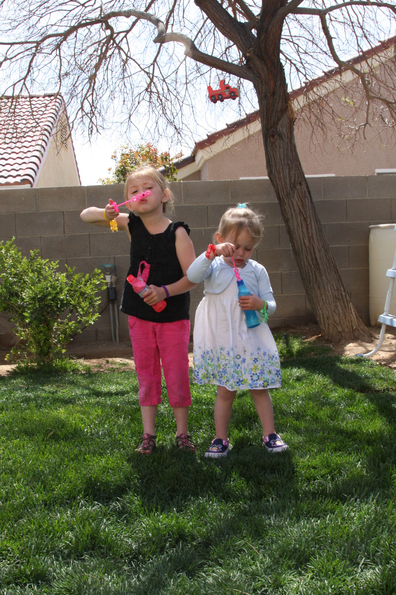 Easter_2012__2811629.JPG