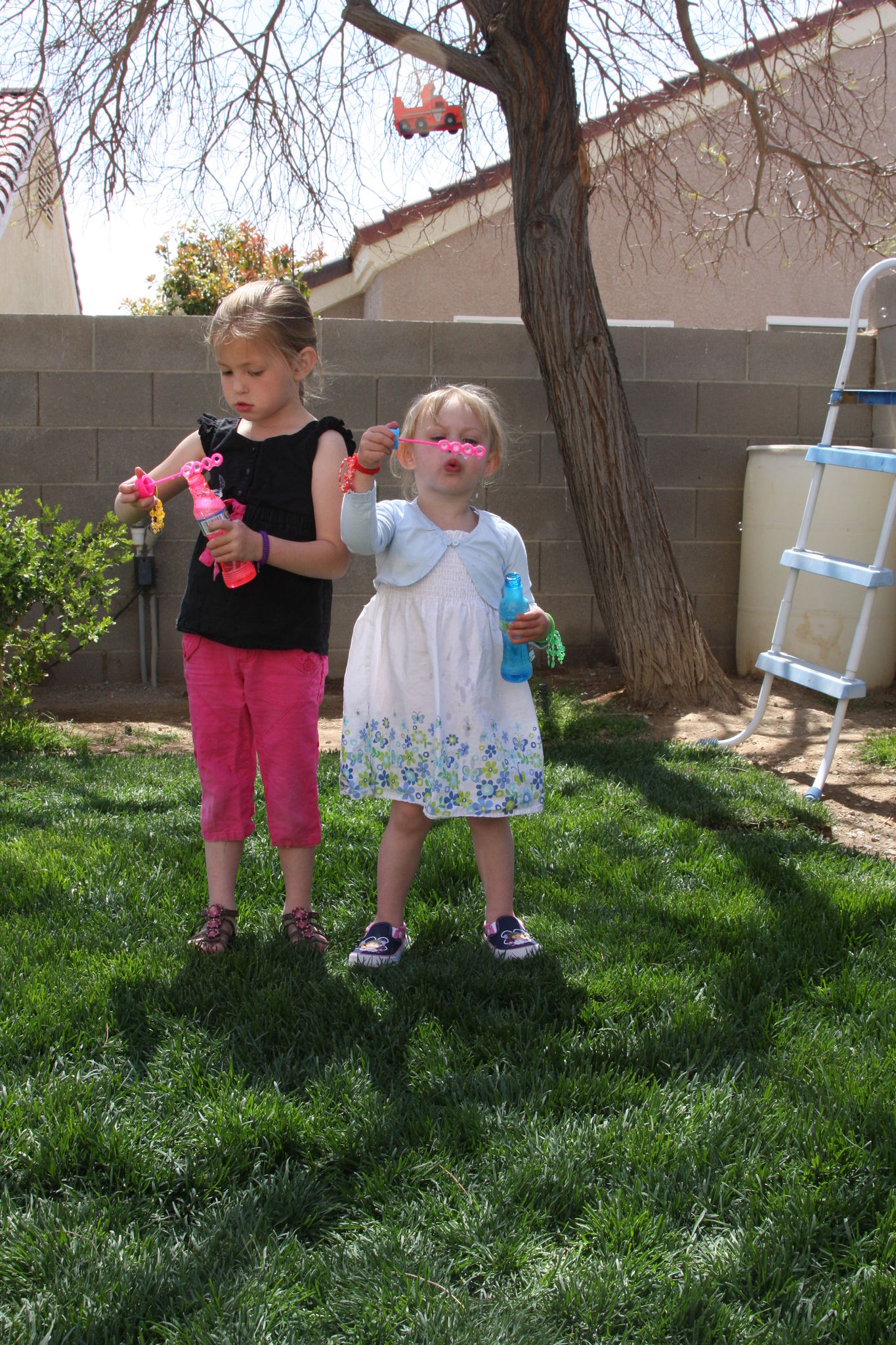 Easter_2012__2811729.JPG