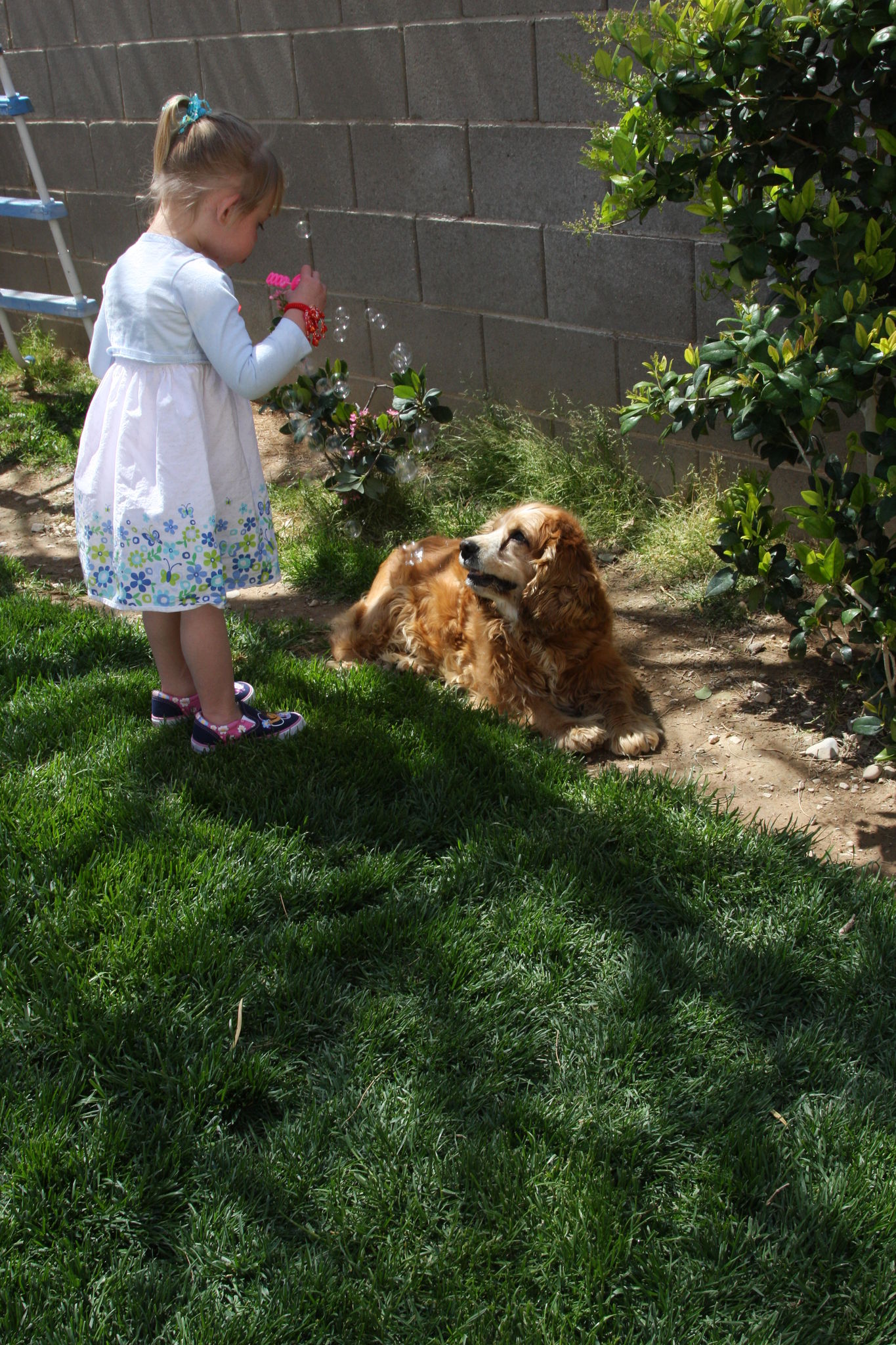 Easter_2012__2813129.JPG