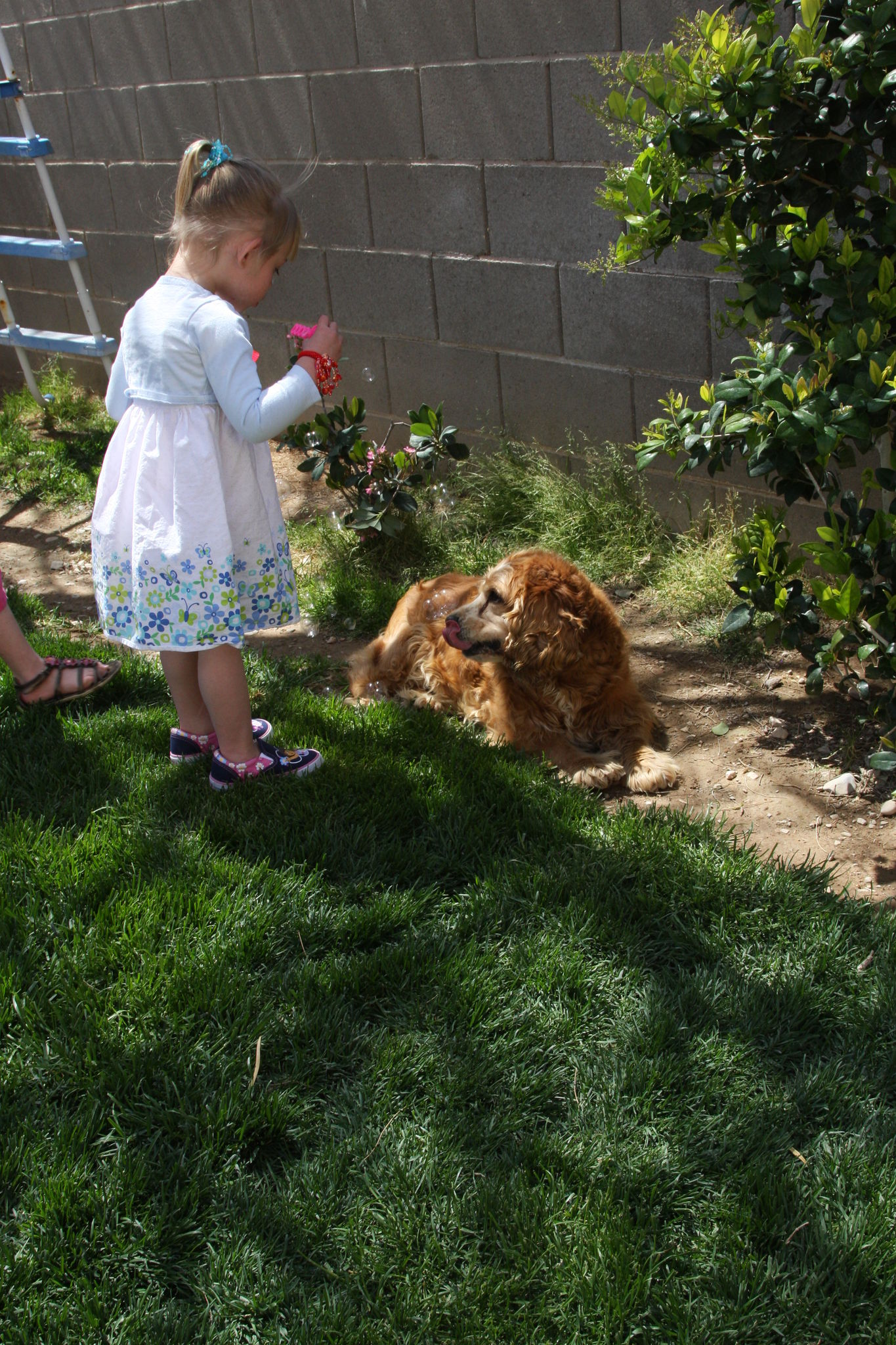 Easter_2012__2813229.JPG