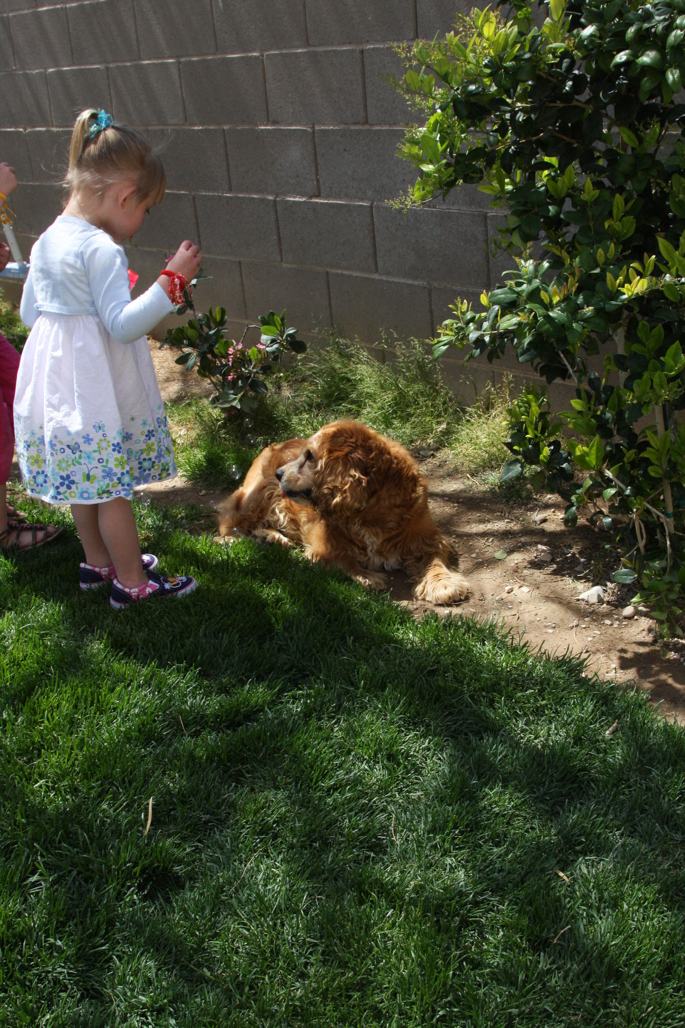 Easter_2012__2813329.JPG