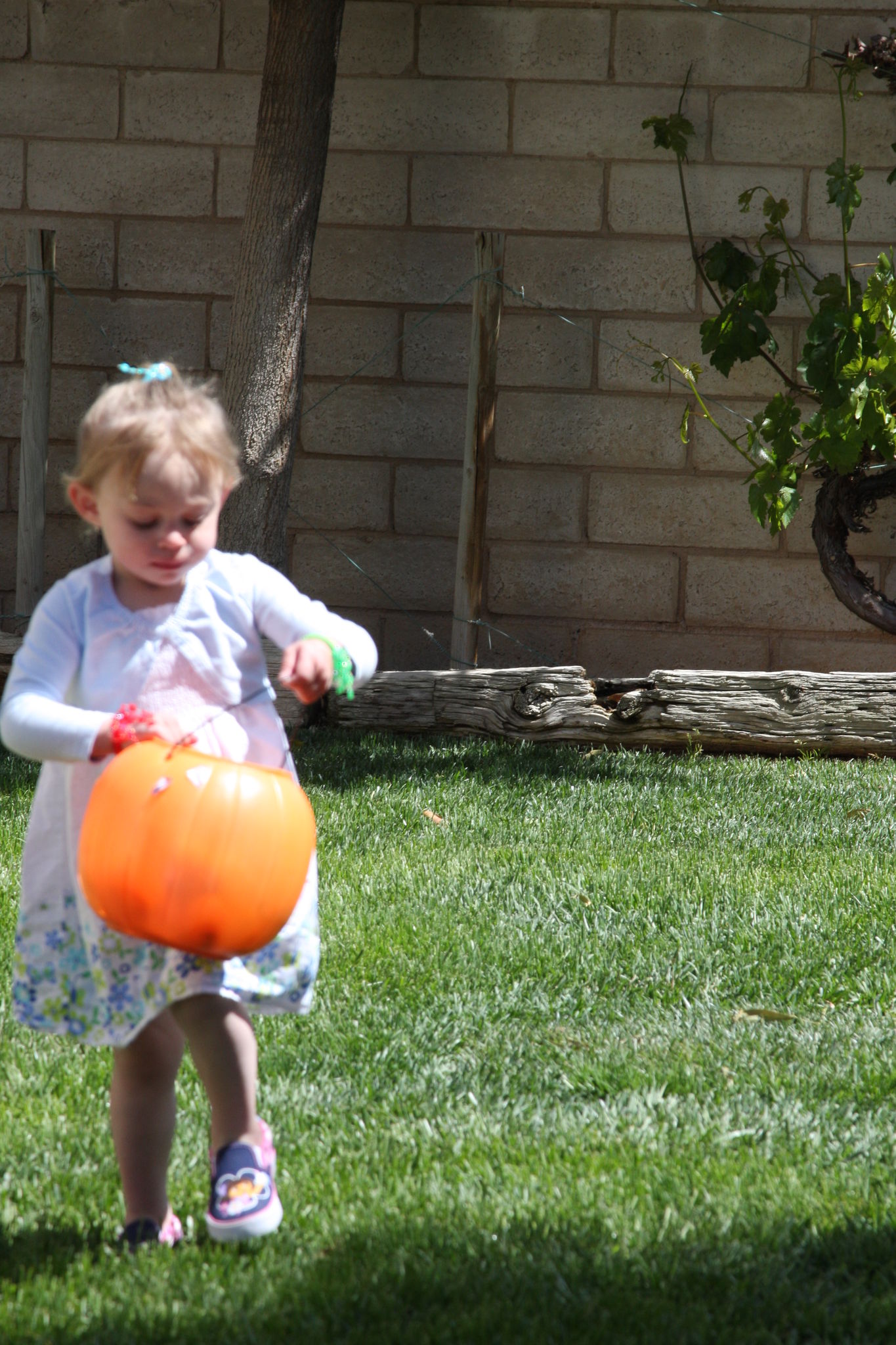 Easter_2012__282929.JPG