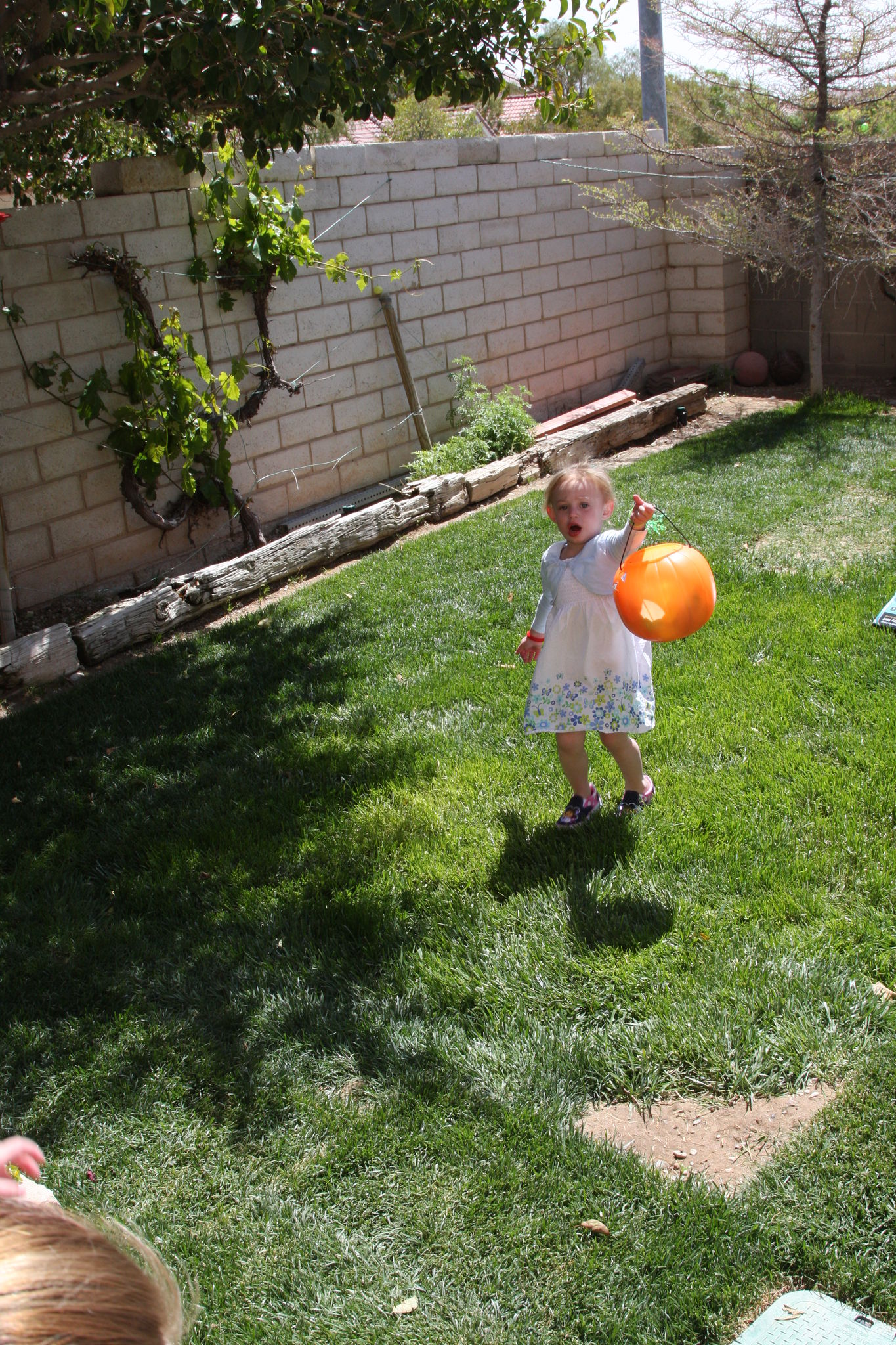 Easter_2012__283929.JPG