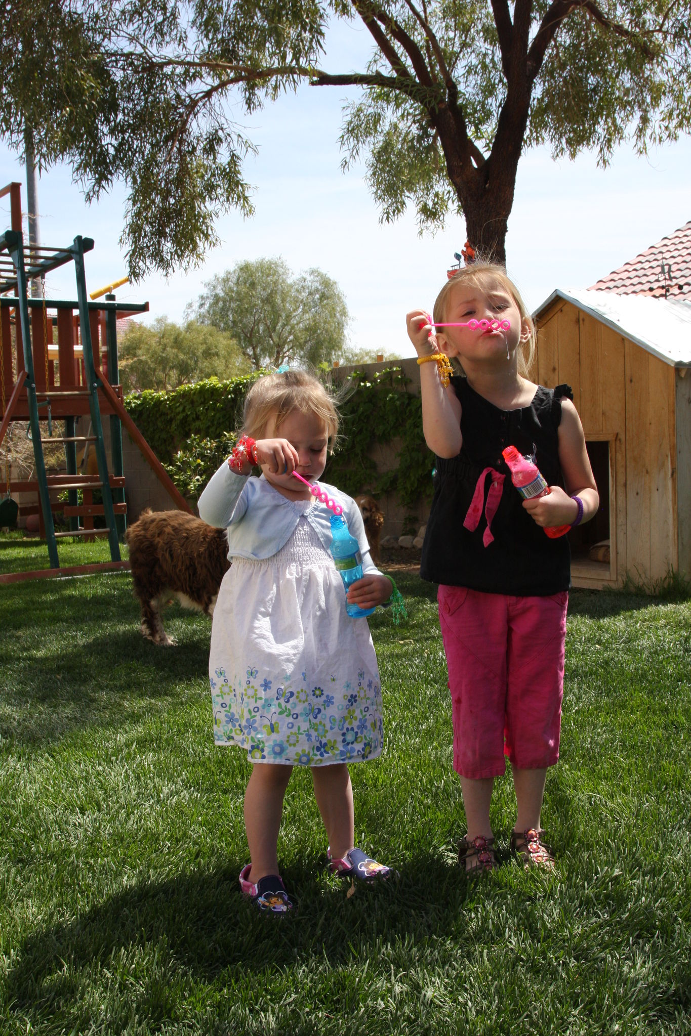 Easter_2012__288629.JPG