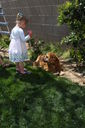 Easter_2012__2813229.JPG