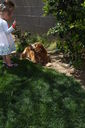 Easter_2012__2813529.JPG