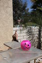 Easter_2012__284129.JPG